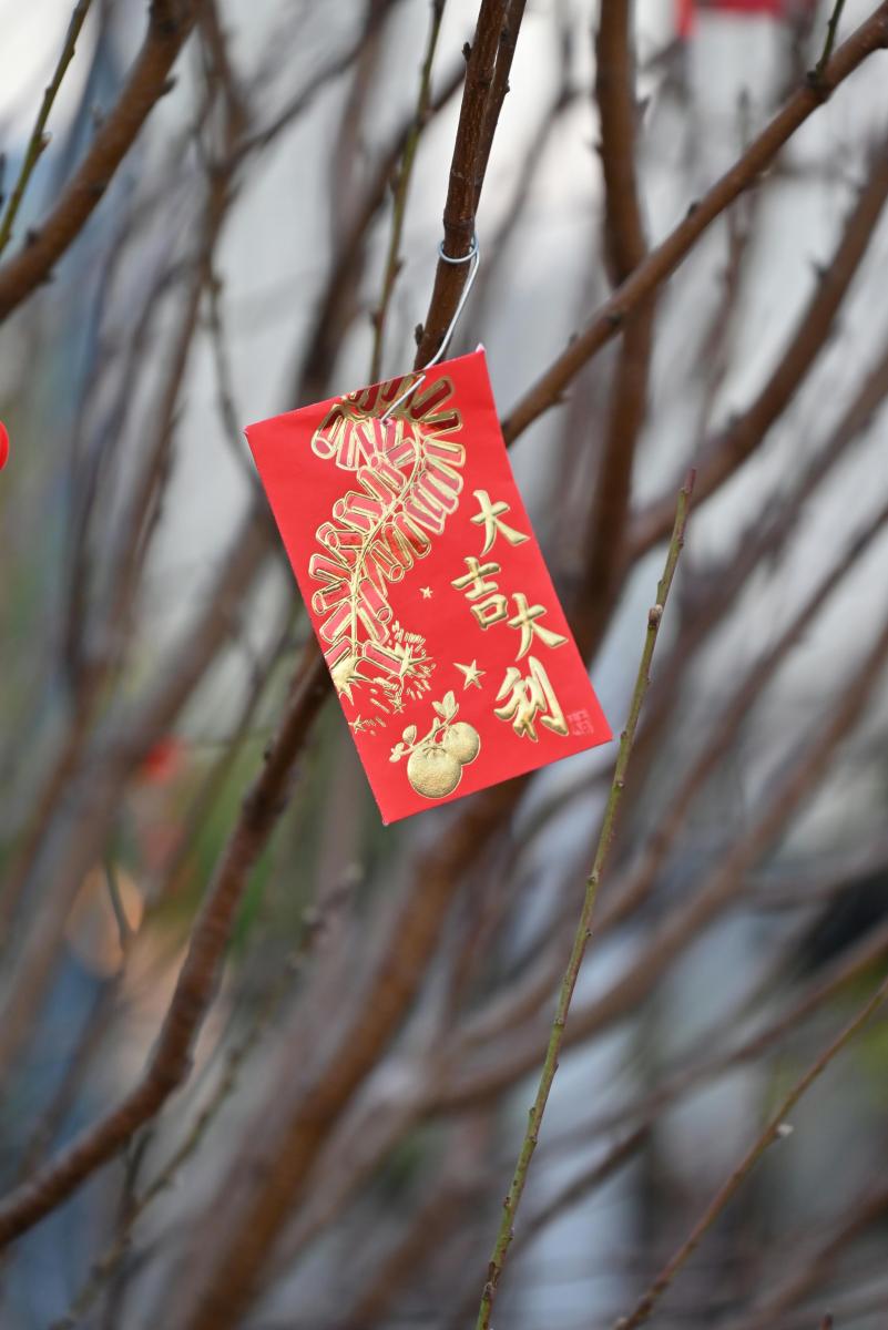 最後一個關鍵原因,來自社會心理學中「規範行為」的概念。當一個行為被多數人長期實踐,即使沒有明文規定,也會逐漸形成隱性的標準。過年包紅包使用新鈔,正是這樣的例子。你未必真的相信舊鈔會帶來不好結果,但當身邊的人都默默換了新鈔,不照做反而會產生心理壓力。也因此,即便近年電子支付普及、紅包金額轉帳越來越常見,新鈔紅包仍未消失。它象徵的並非全然是迷信,更多是一種對共同文化的默契回應。在這樣的脈絡下,換新鈔,其實是一種低成本、低風險,卻高度被理解的社交選擇。