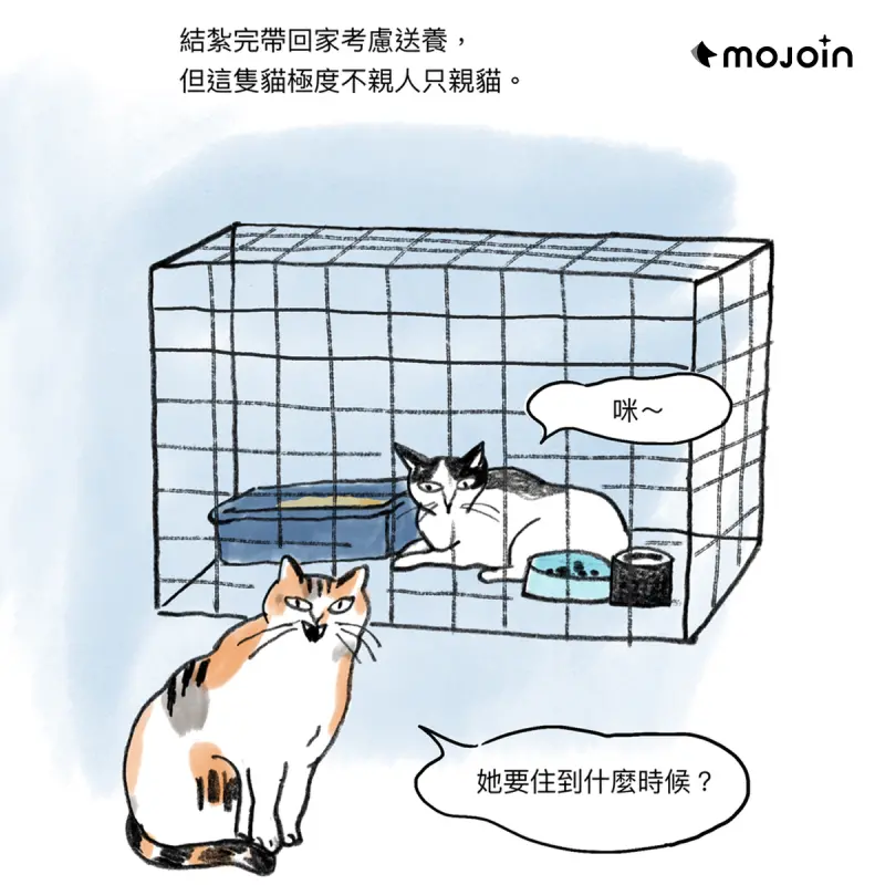 ▲陳沛珛〈中途人生〉圖/MOJOIN 提供