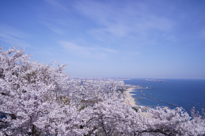 ▲「須磨浦公園展望台」可以眺望櫻花與神戶市景致。　圖：向日遊／提供