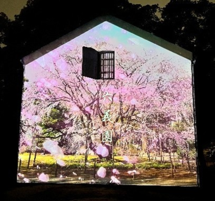 ▲在歷史土藏建築牆面投影春季主題光影演出，營造夢幻庭園夜景氛圍。　圖：東京都公園協会／提供