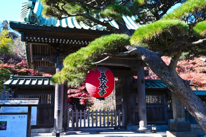 ▲鎌倉長谷寺，日本遊客更偏向拍攝寺廟建築的畫面。　圖：PHOTO AC／來源