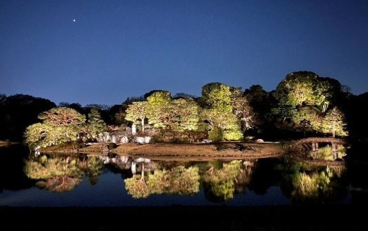 ▲六義園回遊式庭園夜間點燈，中之島與池畔景觀在燈光與水面倒影中展現江戶庭園的靜謐之美。　圖：東京都公園協会／提供