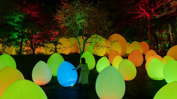 ▲森林中眾多發光的卵形體。　圖：teamlab／提供