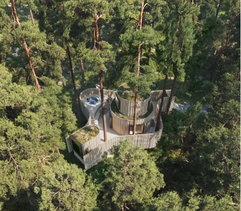 ▲樹屋酒店。　圖：Treehotel（Naden-Lind）／提供