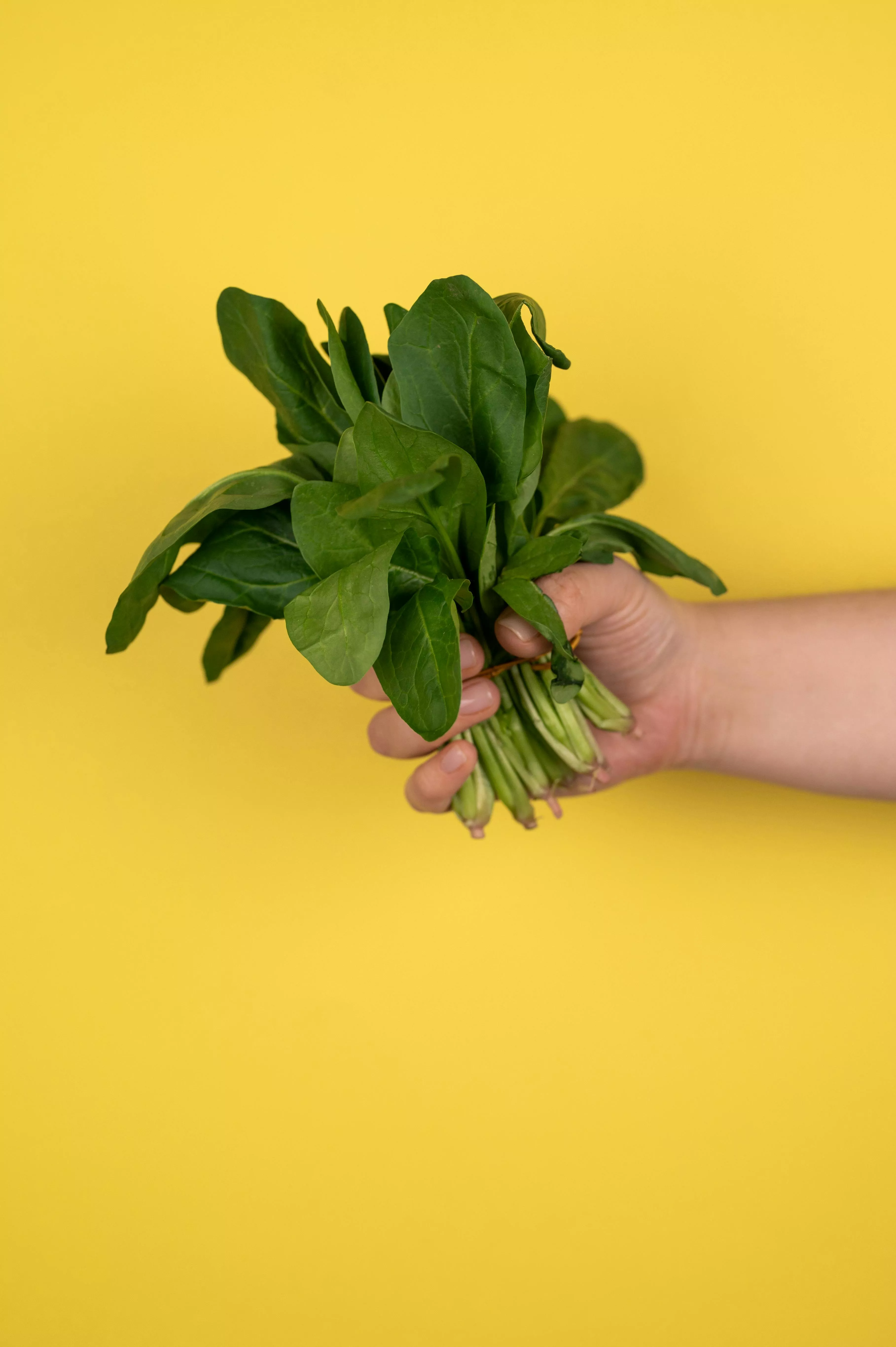 「菠菜」奪冠,農藥殘留比例最高
