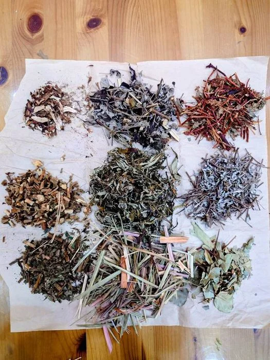 ▲結合各式香草植物，搭配自己喜愛的香草茶。　圖：臺北市政府工務局公園處／提供