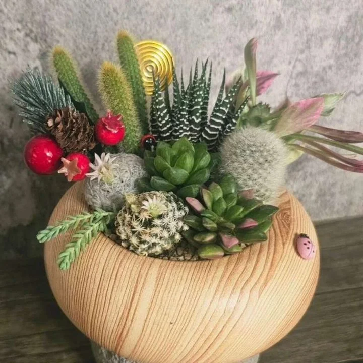 ▲親子手作坊－微景觀盆栽 DIY。　圖：高雄市政府觀光局／提供