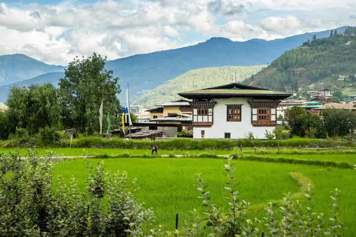 ▲不丹「帕羅谷地」（Paro Valley），綠油油的稻田與茂密樹木展現豐饒的景致。　圖：不丹旅遊局／提供