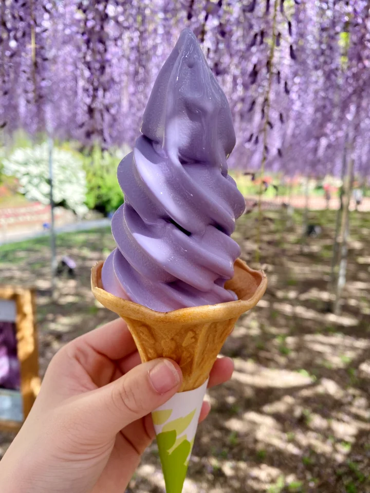 ▲紫藤花霜淇淋是絕對不能錯過的甜點。　圖：足利花卉公園／提供