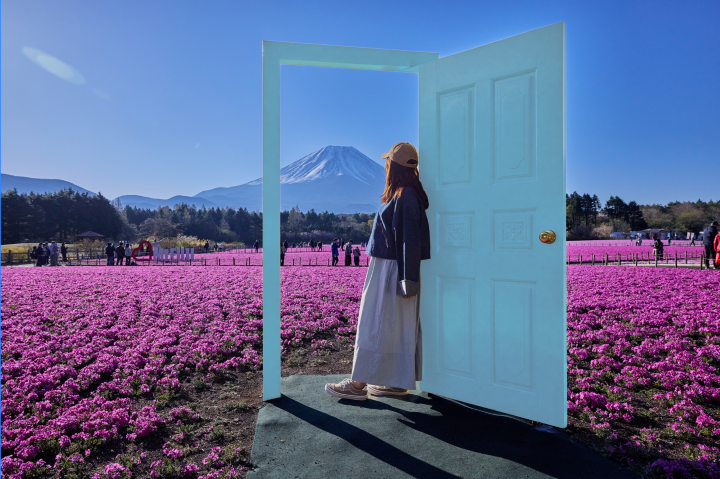 ▲芝櫻田中央豎立著一座淡藍色的門框造景，遊客可以在門內和富士山合照。　圖：富士急行／提供