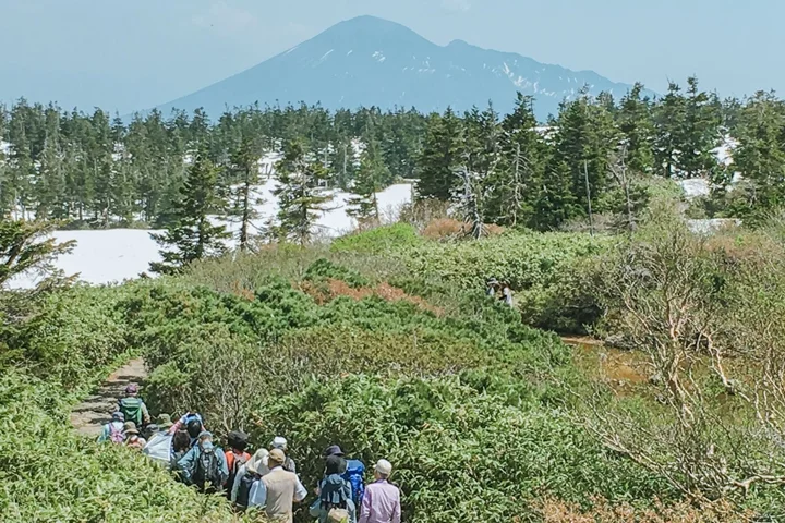 ▲「八幡平龍之眼」雖在山頂，但透過巴士或自駕搭配步行仍可輕鬆前往。　圖：日本旅行情報局／提供
