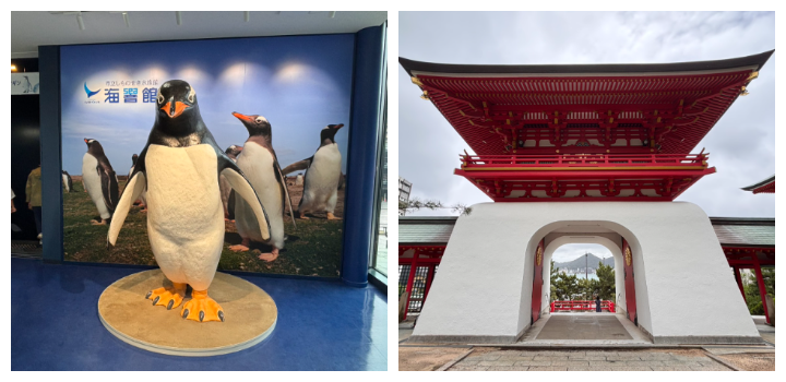 ▲(左) 企鵝是「下關海響館」提供的明星動物，全館共飼養了高過百隻的企鵝。(右) 「赤間神宮」被視為關門海峽的代表性地標，同時也是眺望關門海峽與周邊景色的首選地點。　圖：向日遊／提供