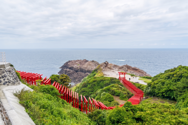 ▲「元乃隅神社」的朱紅色鳥居共有123座，與綠樹、蔚藍天空交織美景。　圖：向日遊／提供