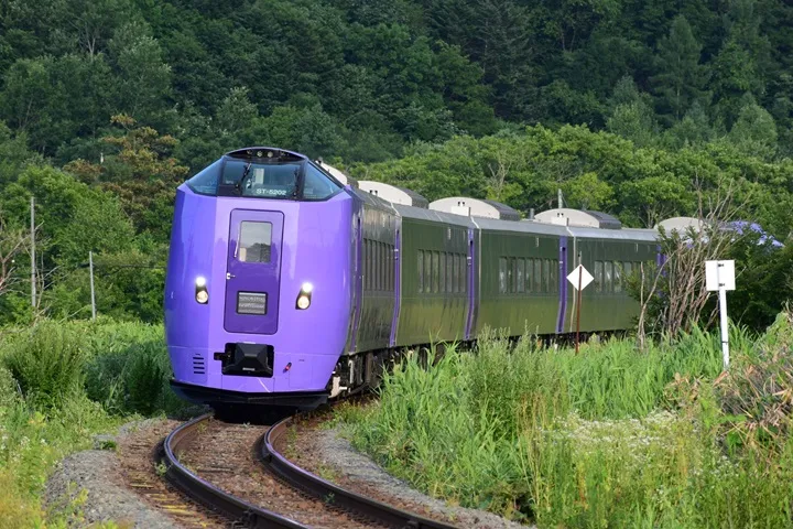 ▲富良野薰衣草特急列車從札幌出發，可當日往返。 圖：JR北海道提供