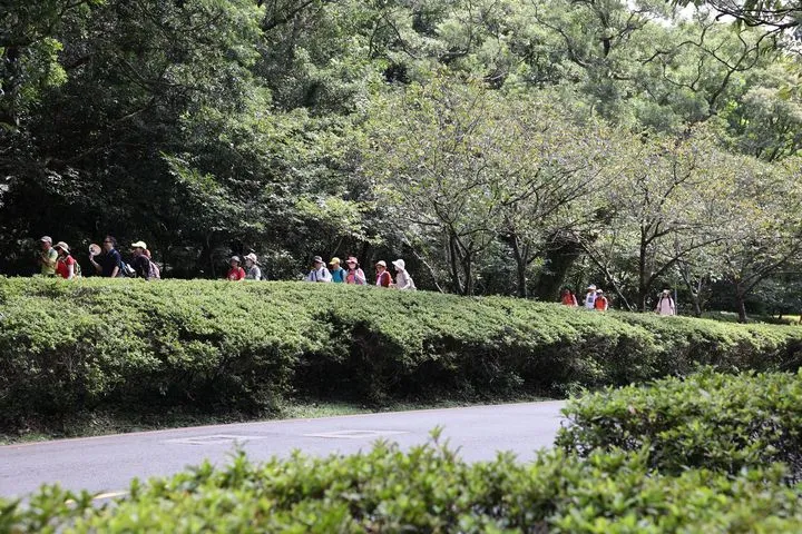 ▲車走車道，人走人道，走起來悠閒又安全。　圖：臺北市政府工務局公園路燈工程管理處／來源