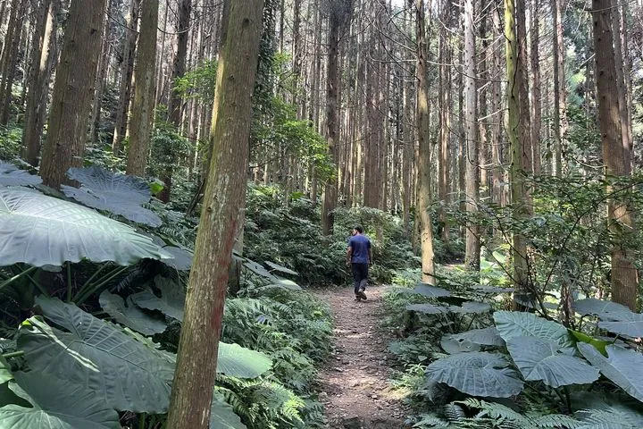 ▲白蘭溪古道。　圖：內政部國家公園署、原森旅行社／提供