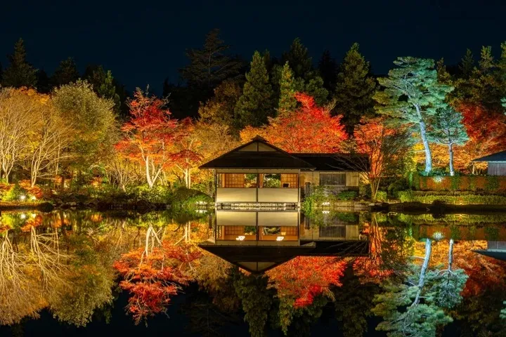▲「國營昭和紀念公園」日本庭園點燈。　圖：一般財團法人公園財團／提供