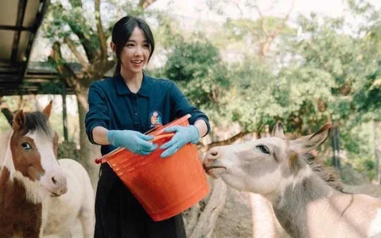 這次邵雨薇在《動物園》中飾演一名職場失意的女性,意外來到高雄壽山動物園擔任實習保育員,原本對一切都很陌生,到必須餵養動物、清理犀牛糞便,甚至與王柏傑飾演的保育員發展感情,為了詮釋角色,她也實際接觸動物保育工作,讓表演更貼近職人日常。不同於過去常見的甜美浪漫形象,這次她必須演出面對人生低潮時的挫折與重新振作,也讓《動物園》成為她演藝生涯的重要突破,最終首度入圍金鐘戲劇女主角獎。