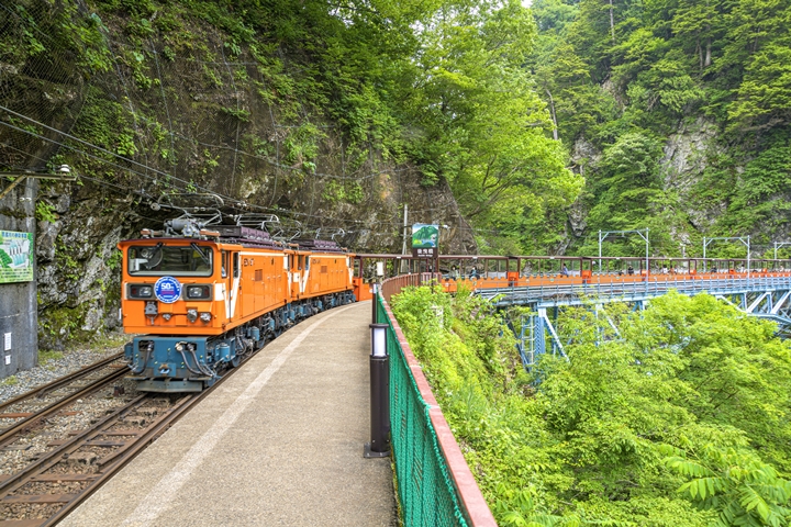 ▲黑部峽谷鐵道小火車平均時速約16公里，可盡情飽覽沿途美景。　圖：越中新川觀光圈／提供