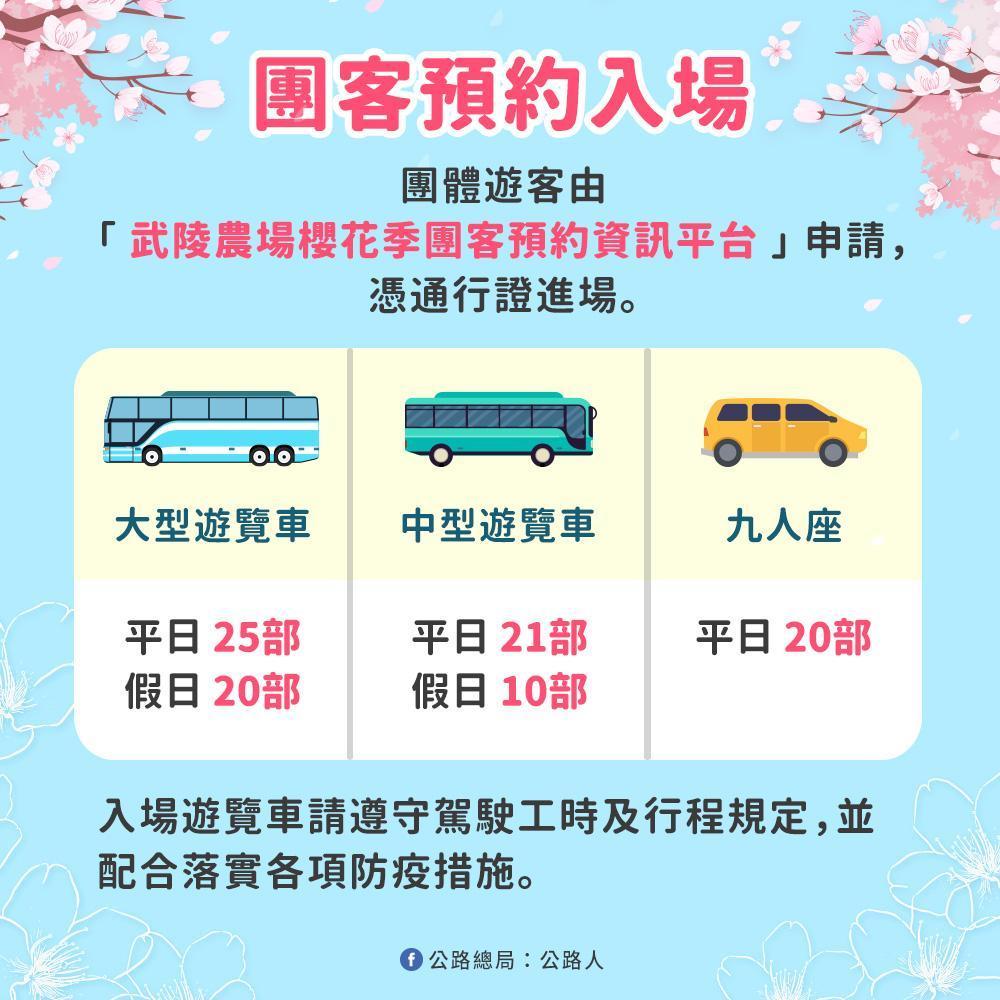 櫻花季期間平日每天開放25部大型遊覽車、21部中型遊覽車及9人座20部車輛入場；假日則調整為20部、10部，沒有9人座車輛。（公路總局提供）