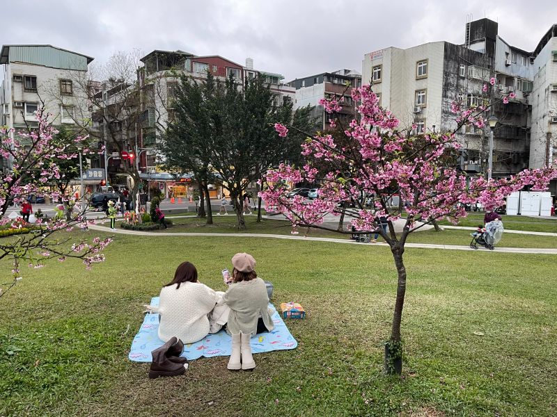 ▲到了樂活公園不只可以賞花，園內還有大片草皮，還能看到有人自備野餐墊來此野餐，可說是相當chill的行程。（圖／記者汪睿琦攝）