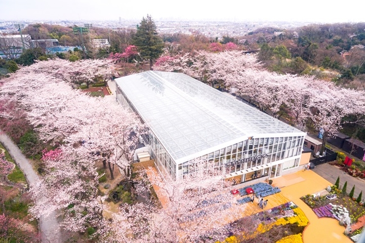 ▲「HANA・BIYORI」主打新感覺花卉植物園，與遊樂園之間具備連通出入口。　圖：讀賣樂園／來源