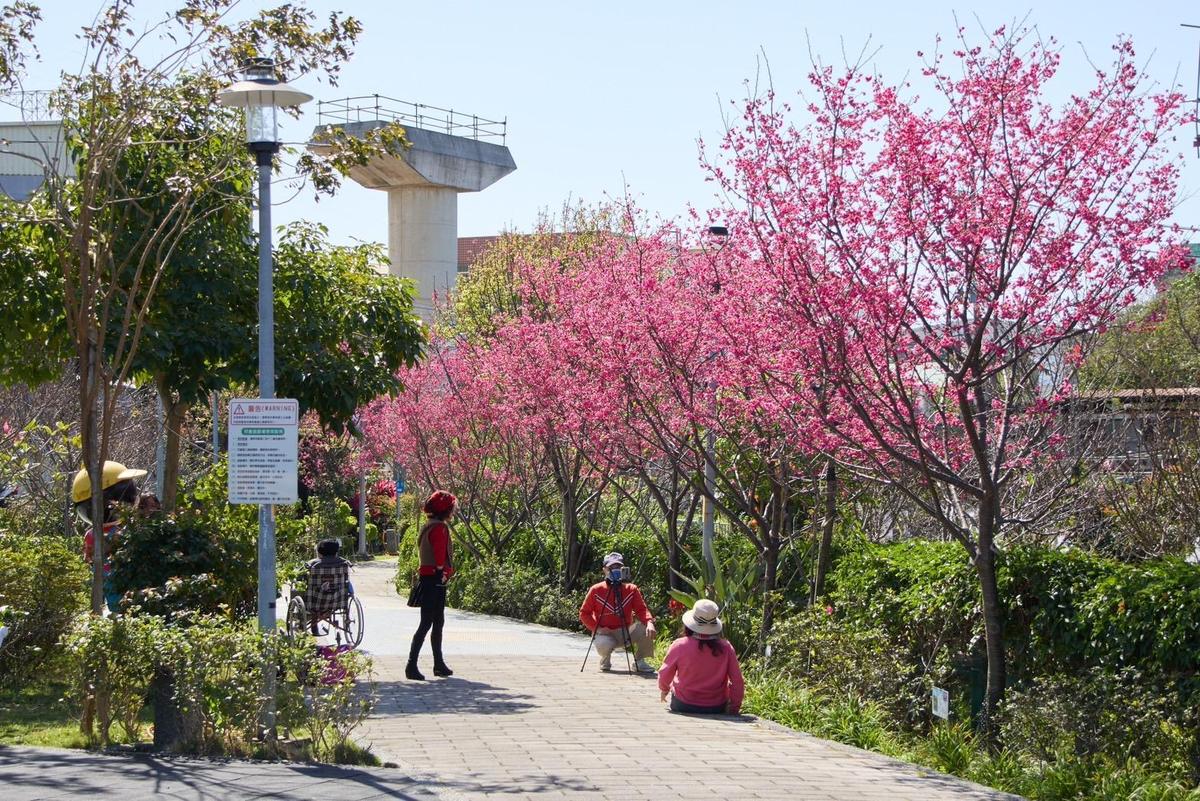 大人小孩都能在這裡感受春暖花開的幸福氛圍。（新北市景觀處提供）