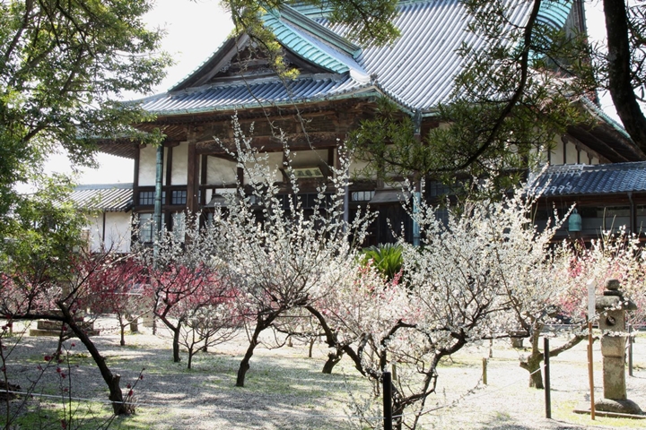 ▲高傳寺。　圖：佐賀縣／提供