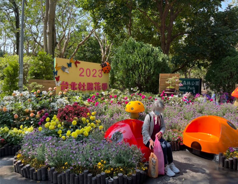 ▲大安森林牡鵑花季在好天氣的週六吸引大量遊客入園賞花。（圖／記者汪睿琦攝）