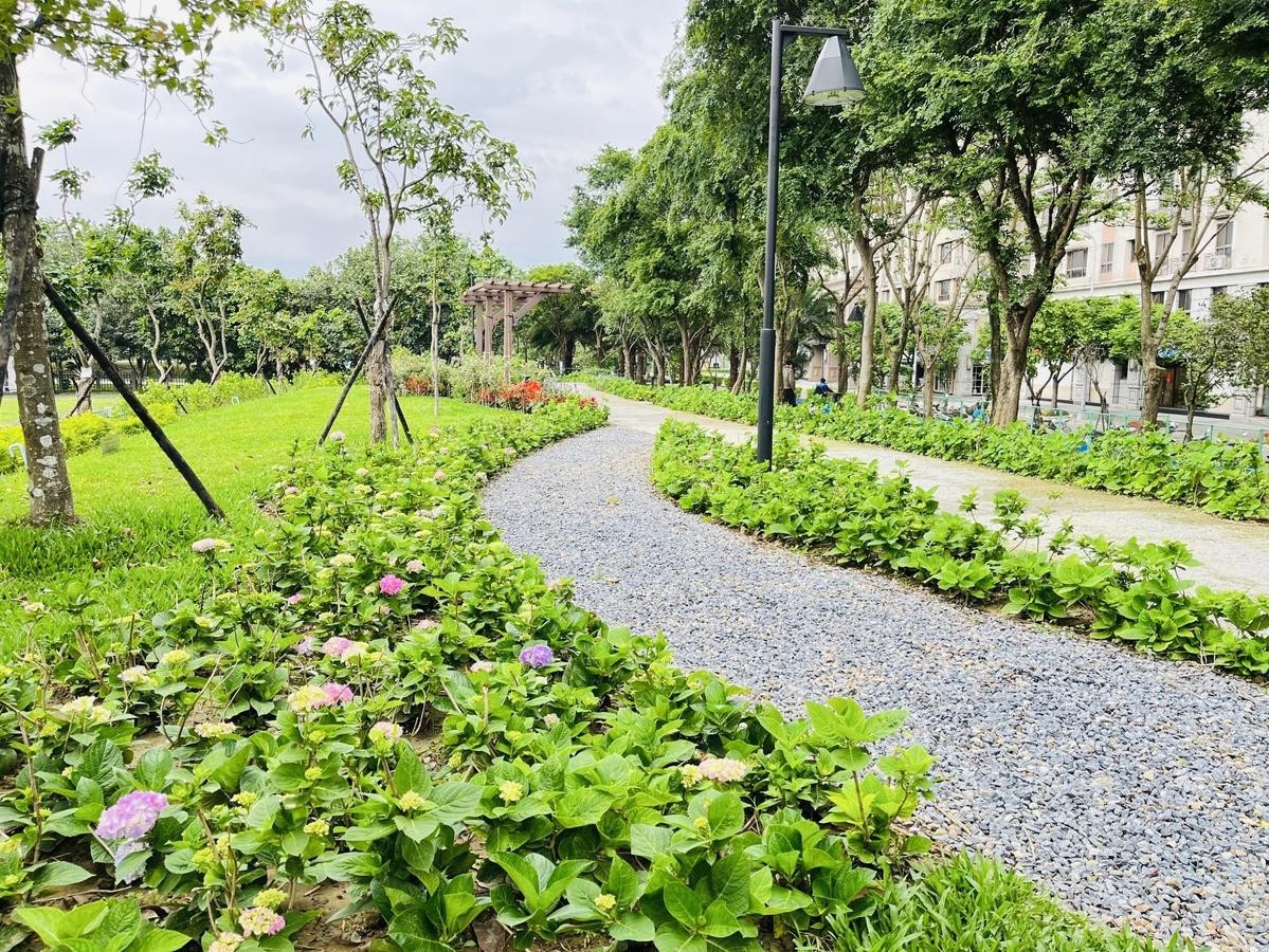 北大汙水廠旁草花公園繡球花開，將於29日開放。（新北水利局提供）