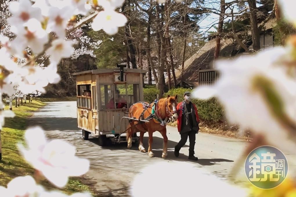 住客可以體驗馬車繞園區，繞行一周約20分鐘。