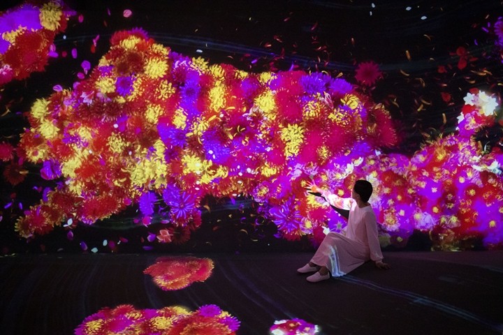 ▲展示作品《與花共生的動物們 II－A Whole Year per Year》。　圖：teamLab／來源