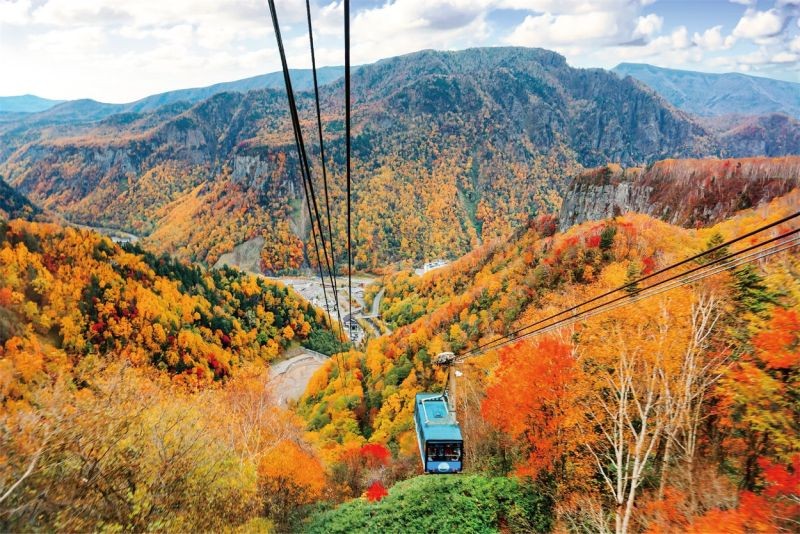 ▲下半年旅遊熱潮將從賞楓開始，北海道道東地區能搭乘空中纜車，俯瞰岩壁上繽紛的紅葉景緻。（圖／易飛網提供）