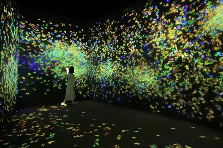 ▲展示作品《群蝶，短暫的生命－A Whole Year per Year》。　圖：teamLab／來源