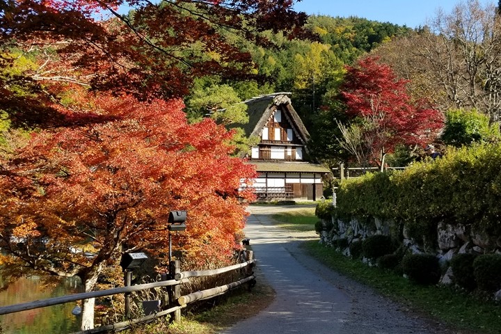 ▲野外博物館「飛驒民俗村（飛驒之里）」呈現過往居民生活面貌。　圖：飛驒・高山觀光協會／來源