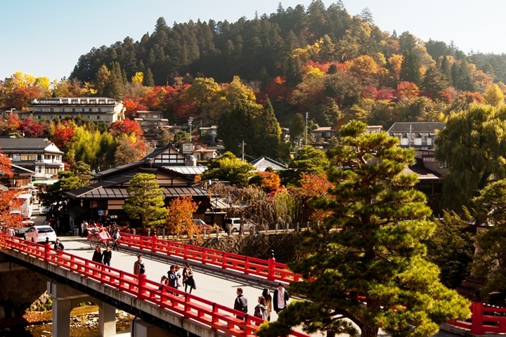 ▲高山老街的「中橋」成為手持猴寶寶冰棒打卡的熱門地，以秋季紅葉為背景更是美上加美。　圖：飛驒・高山觀光協會／來源