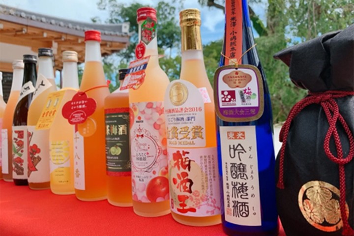 ▲全國梅酒祭顧名思義集結來自日本全國的梅酒，會場提供的試飲杯約16ml，讓遊客輕鬆淺嚐。【禁止酒駕；飲酒過量，害人害己。】　圖：梅酒研究會／提供