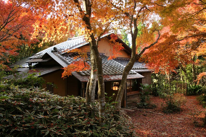 ■雲仙市 三十路苑（11月下旬～12月上旬）