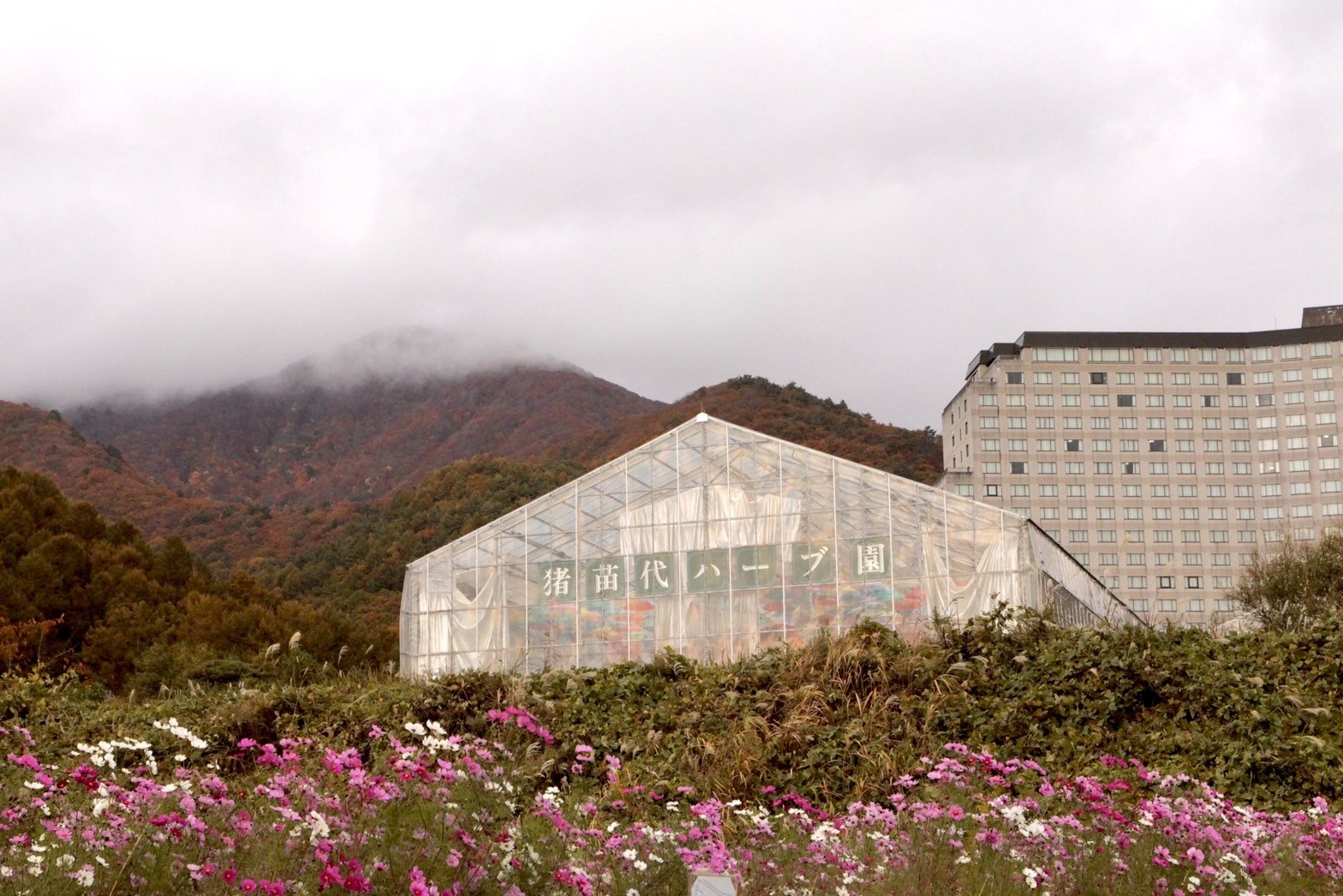 不僅飯店四季皆美景，飯店附屬的「豬苗代花草園」在不同季節也能看到時令專屬的各式花卉。