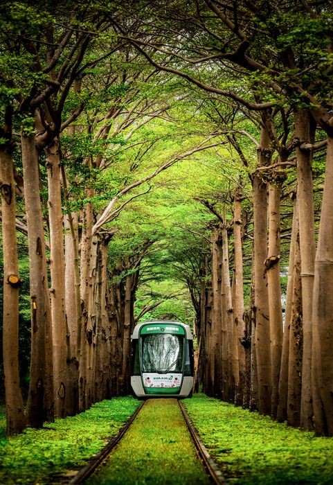 ▲隨著長榮航空耶誕彩繪輕軌列車加入，為南台灣的耶誕氛圍注入全新活力。　圖：長榮航空／提供