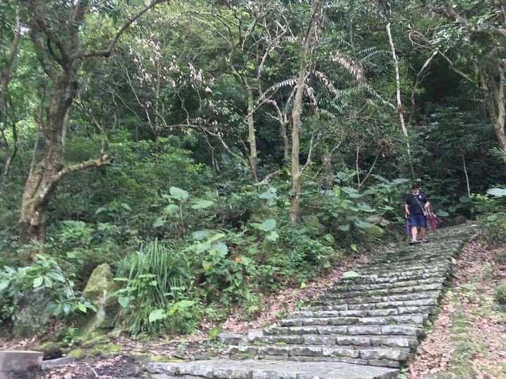 ▲龍湖步道。　圖：台南市政府觀光旅遊局／提供