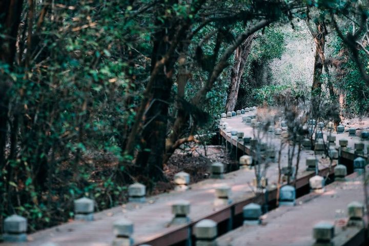 ▲北門雙春。　圖：台南市政府觀光旅遊局／提供