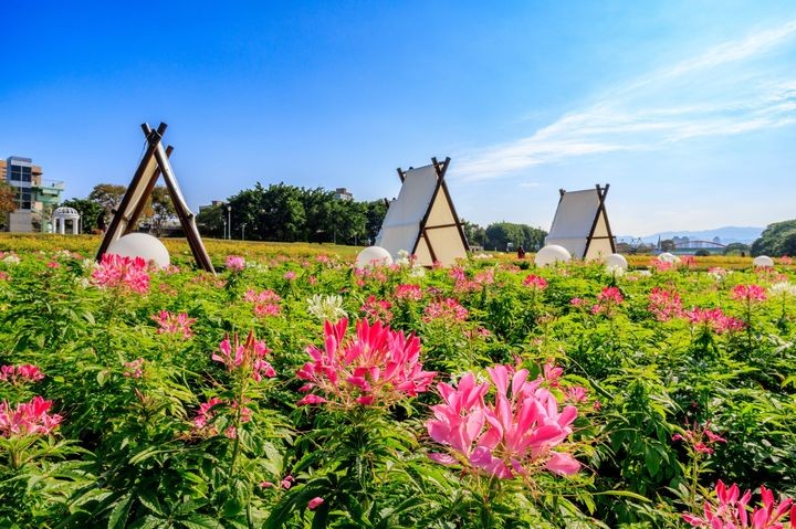 ▲野餐桌椅、休憩帳篷，為花田景觀加分。　圖：台北市政府工務局水利工程處官方臉書（攝影：曹正邦）／提供