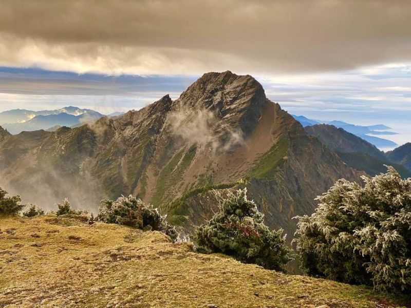 ▲玉山北峰出現「凍雨」，植物枝葉被冰包覆。（圖／鄭明典臉書）