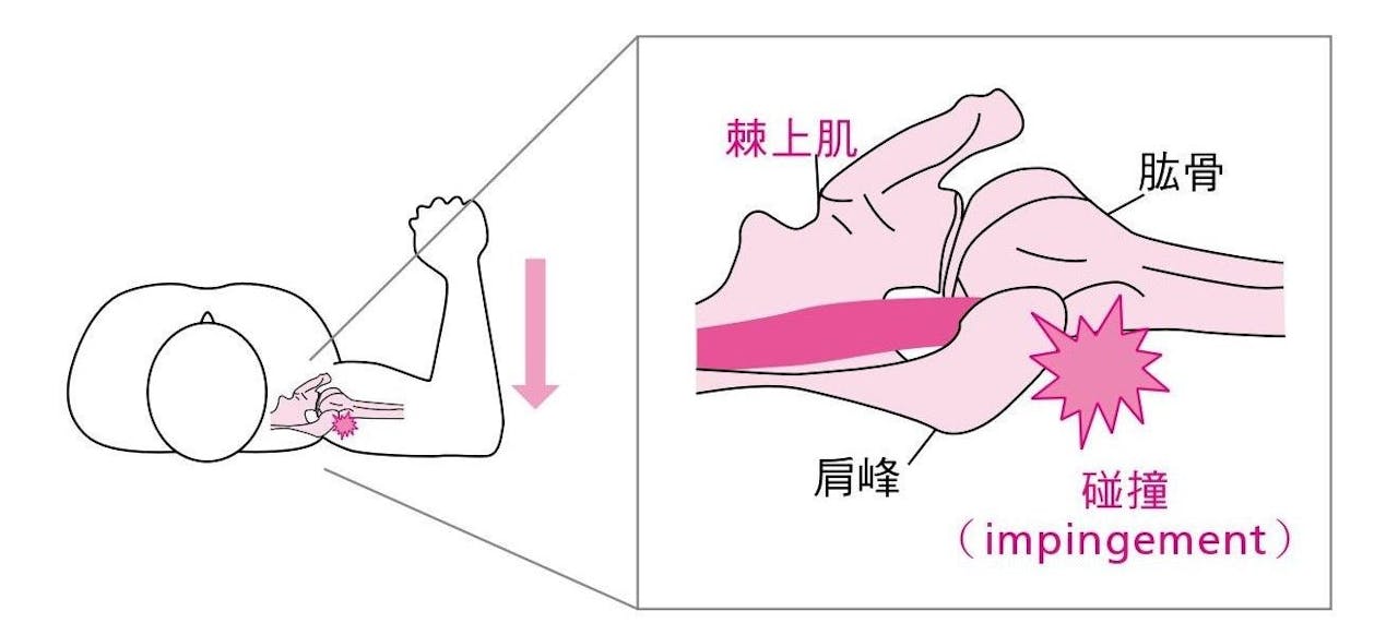 《用最正確的科學觀點1人健身》提升臥推成效的「拱下背」與「肩胛骨下收」 - 健身運動 - 健康生活 | 運動視界 Sports Vision