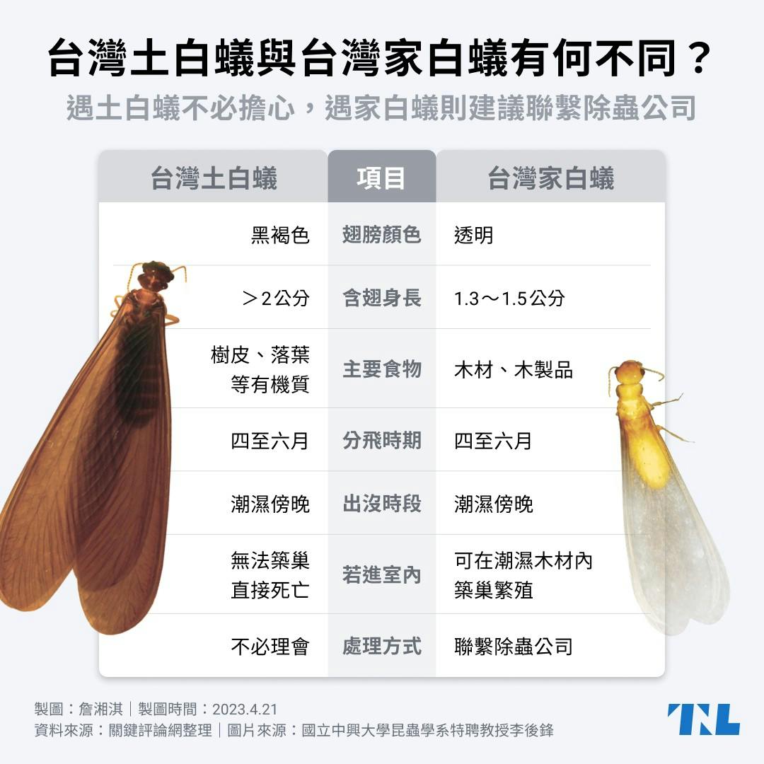 【圖表】梅雨季將至,四處分飛的白蟻都有害嗎?若白蟻飛進室內該如何處理? - TNL The News Lens 關鍵評論網