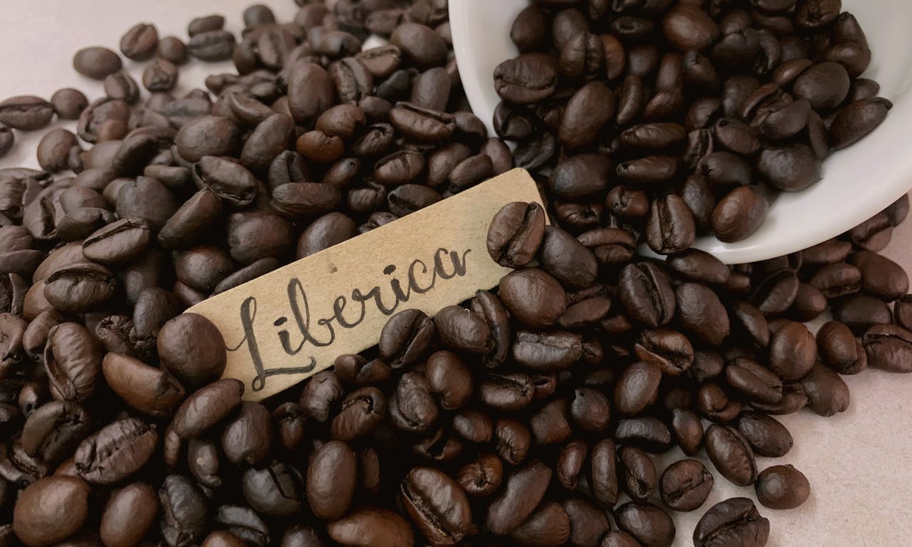 咖啡危機的唯一出路？被遺忘的咖啡物種，重新認識馬來西亞的「賴比瑞卡」 - TNL The News Lens 關鍵評論網