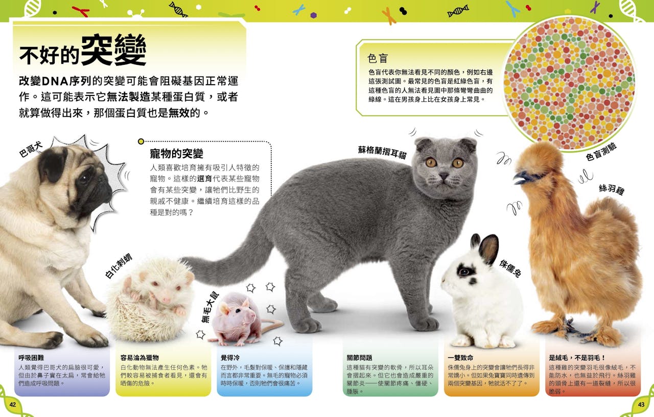 我知道！這就是DNA》：不好的突變為什麼會產生遺傳疾病？ - TNL The News Lens 關鍵評論網