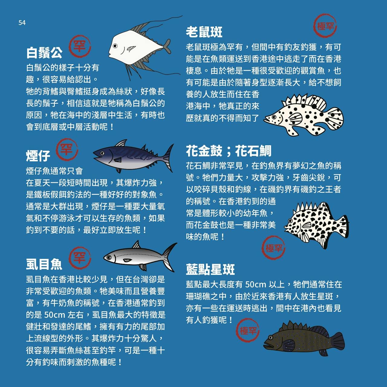 香港釣太郎》：罕見魚類指南——東星斑食餌兇猛、虱目魚「釣味濃」⋯⋯ - TNL The News Lens 關鍵評論網