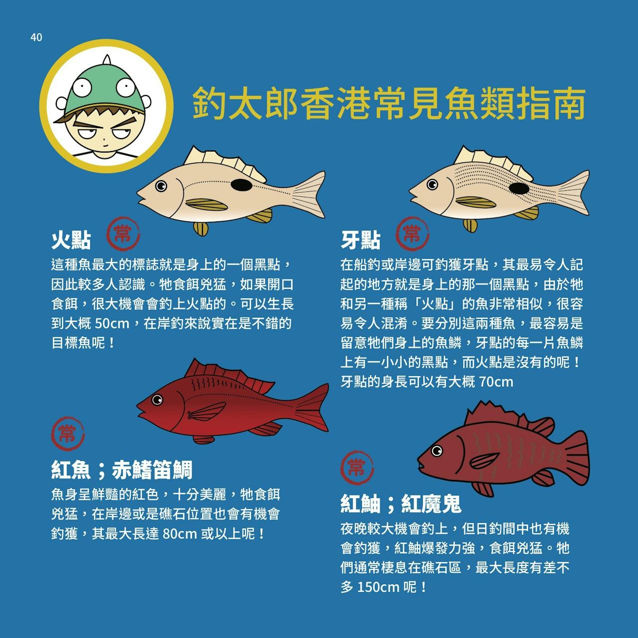 香港釣太郎》：常見魚類指南——烏頭常在岸邊「遊憩」、黃腳鱲「釣完又釣」⋯⋯ - TNL The News Lens 關鍵評論網